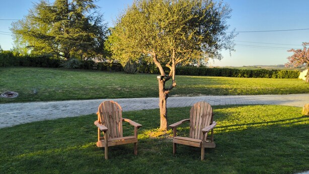 Deux fauteuils Adirondack en bois, placés face à face sur une pelouse verdoyante, avec un arbre en arrière-plan.