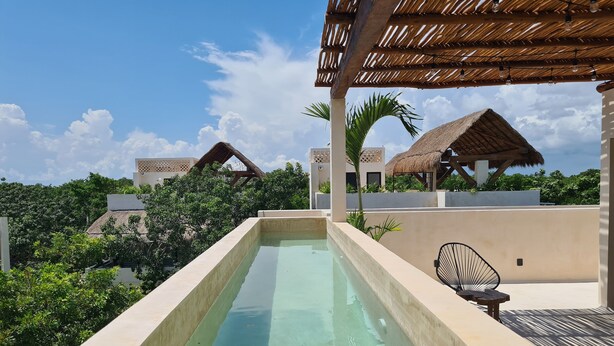Une piscine dotée d’un bassin aux eaux d’un bleu limpide, entourée d’une végétation luxuriante et bordée d’une architecture moderne.