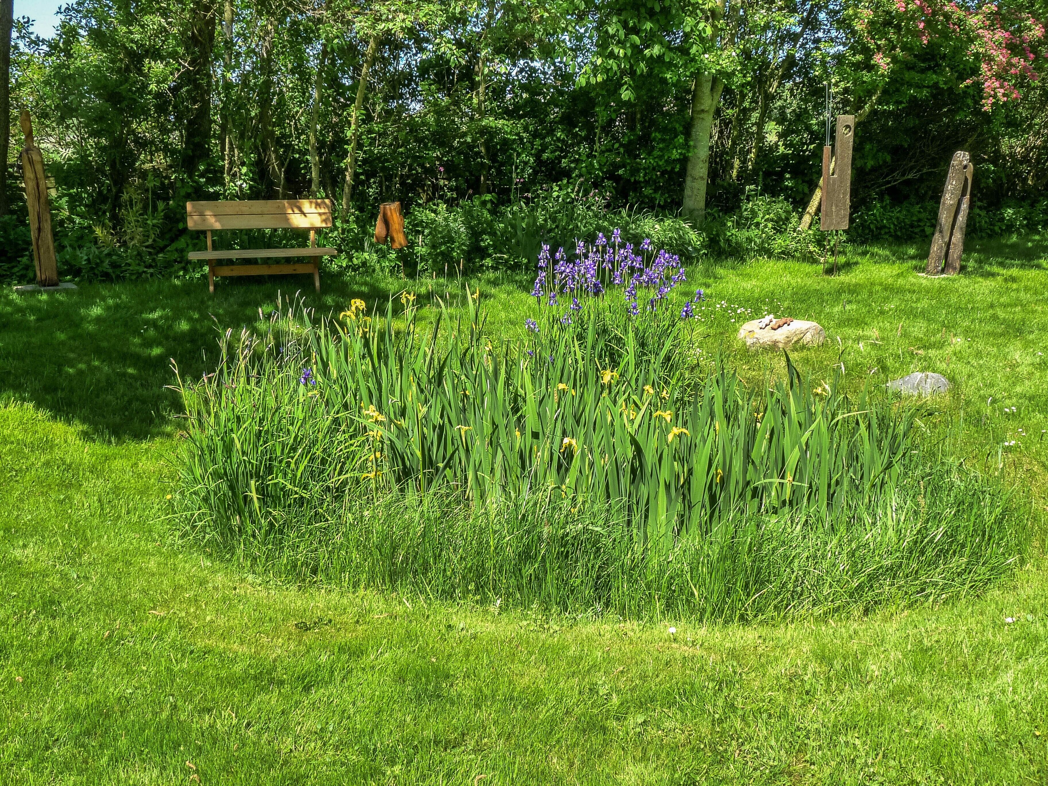 Ein Garten mit einer Holzbank, verschiedenen Pflanzen und Bäumen.