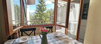 Apartamentos Confort Formigal 3000