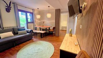 Basic Apartment | Living area | TV