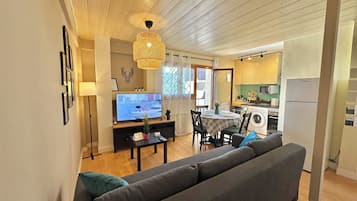 Basic Apartment | Living area | TV