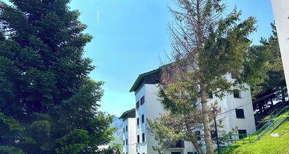 Apartamentos Confort Formigal 3000