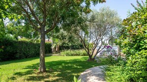 A well-maintained garden with a variety of trees and shrubs, a paved walkway, and a clear sky. - La Bienvenue - Four Bedroom Villa, Sleeps 8 (Pézenas)