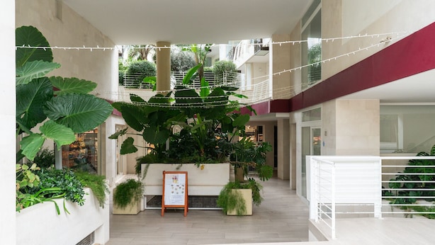 Un espace intérieur vaste et lumineux, agrémenté de grands pots de plantes, d’une rambarde blanche et de guirlandes lumineuses.