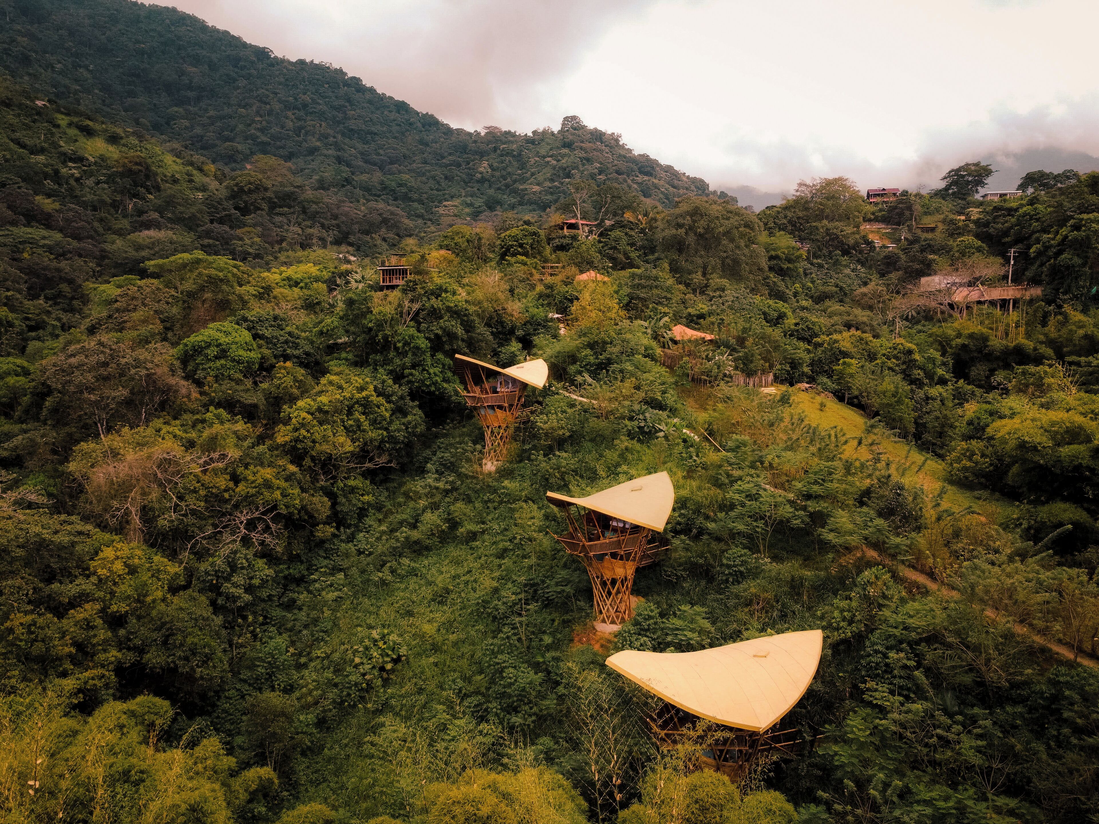 A series of treehouse accommodations nestled in a lush forest, connected by narrow paths.