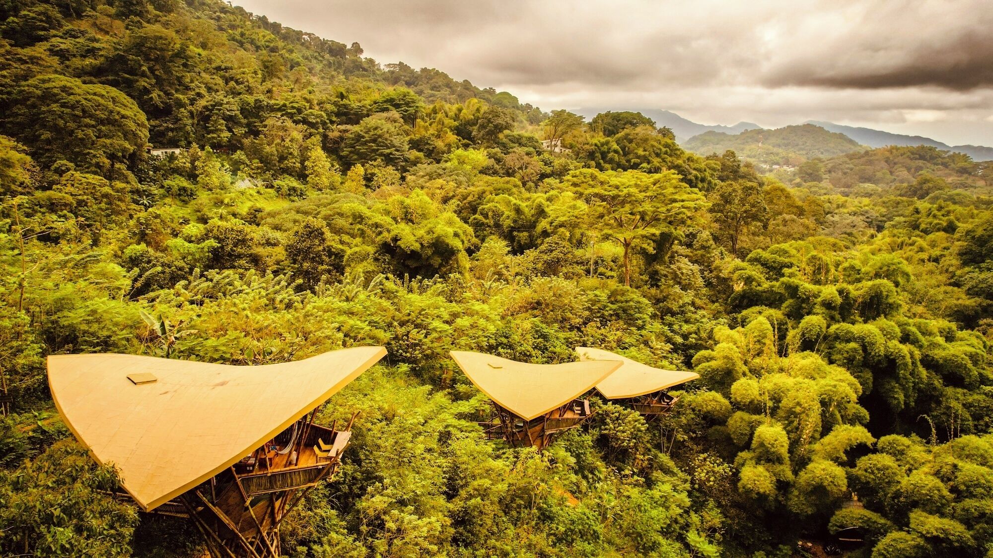 A forested area with elevated wooden structures, possibly for accommodation or observation.