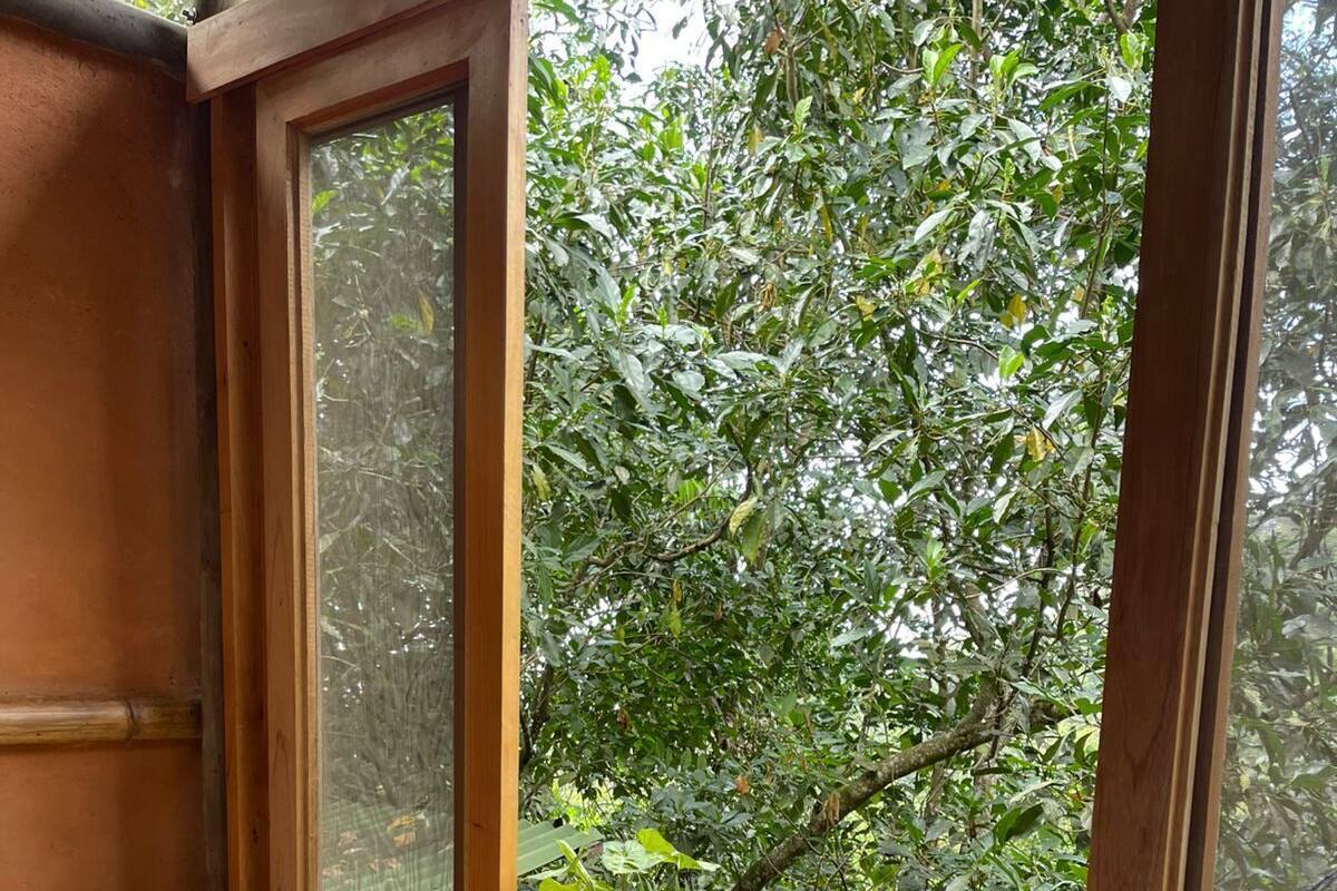 Una poltrona amaca, un laptop su un tavolino e una pianta in vaso in una stanza con ampie finestre e vista sul verde circostante.