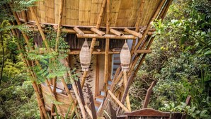 Une structure en bambou dotée d’une porte en bois et d’une enseigne, le tout entouré d’une végétation luxuriante.