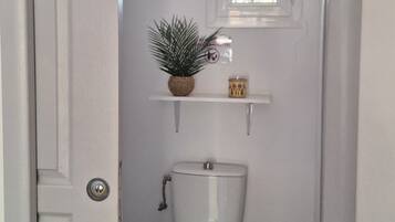 Shower, hair dryer, towels, toilet paper