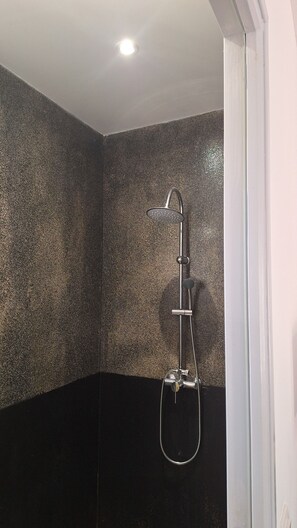 Shower, hair dryer, towels, toilet paper