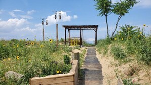 Un sentier en bois mène à un belvédère en bois agrémenté d’un banc, le tout étant entouré de fleurs sauvages et de verdure.