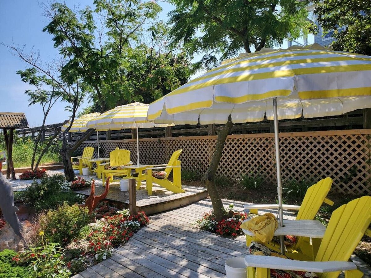 Image de profil de l’hôte