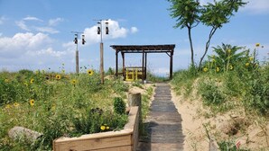 Ein hölzerner Weg führt zu einem überdachten Bereich mit einer Bank, umgeben von Wildblumen und Vegetation.