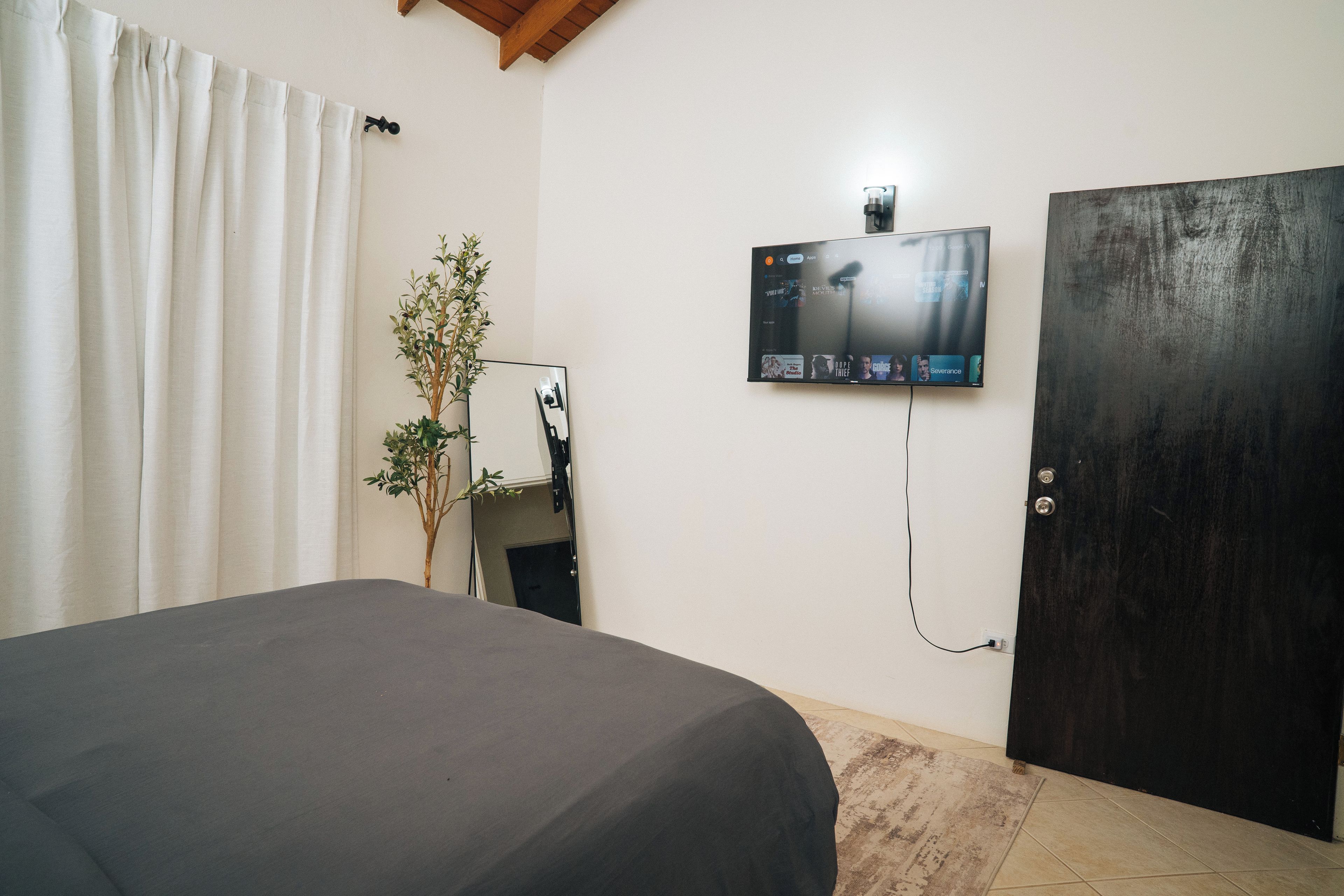 A room with a bed, a television mounted on the wall, a door, and a plant.