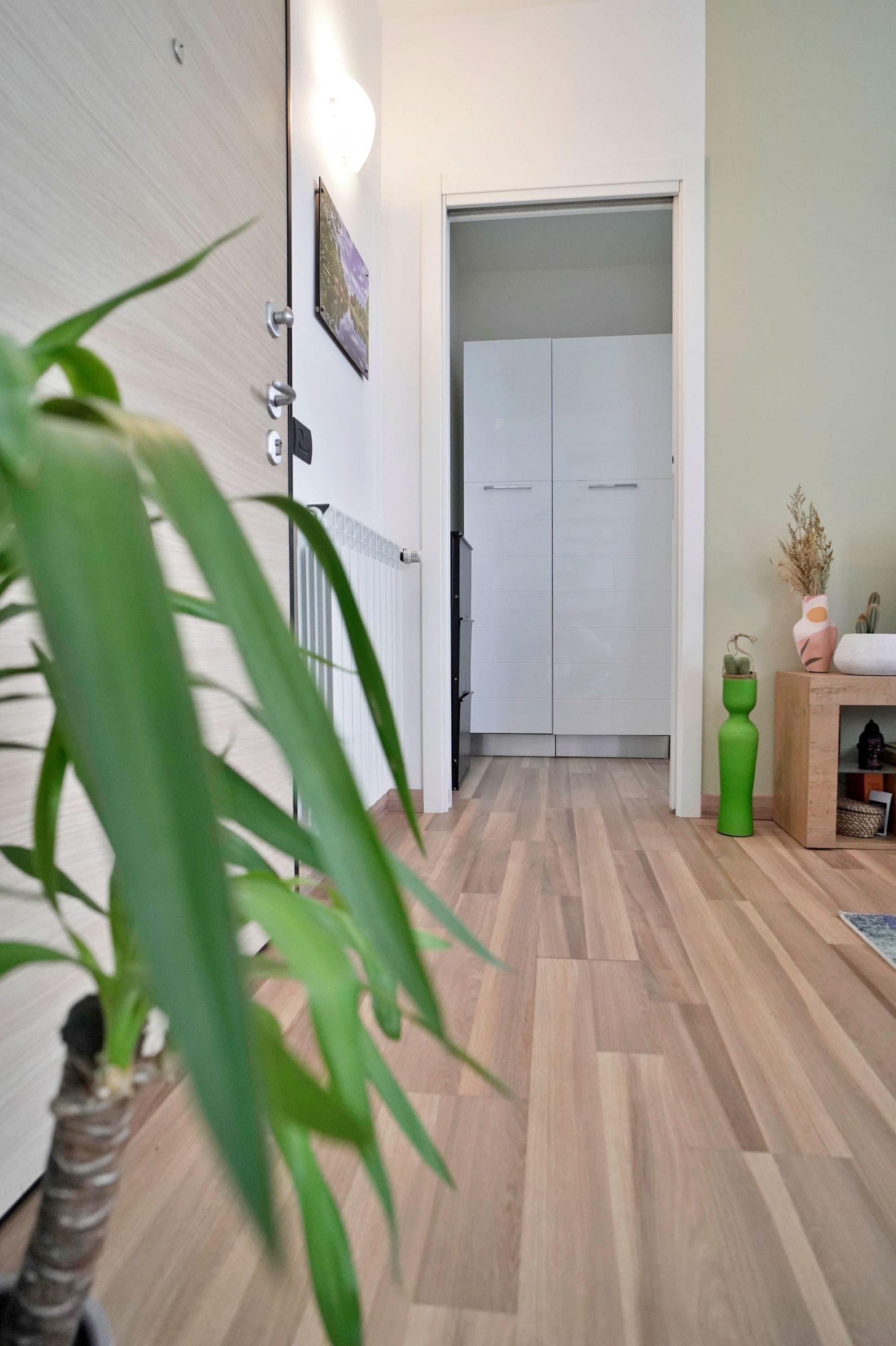 Un pasillo con piso de madera, una puerta blanca y un radiador. Hay una planta en primer plano y un mueble pequeño con un florero a la derecha.