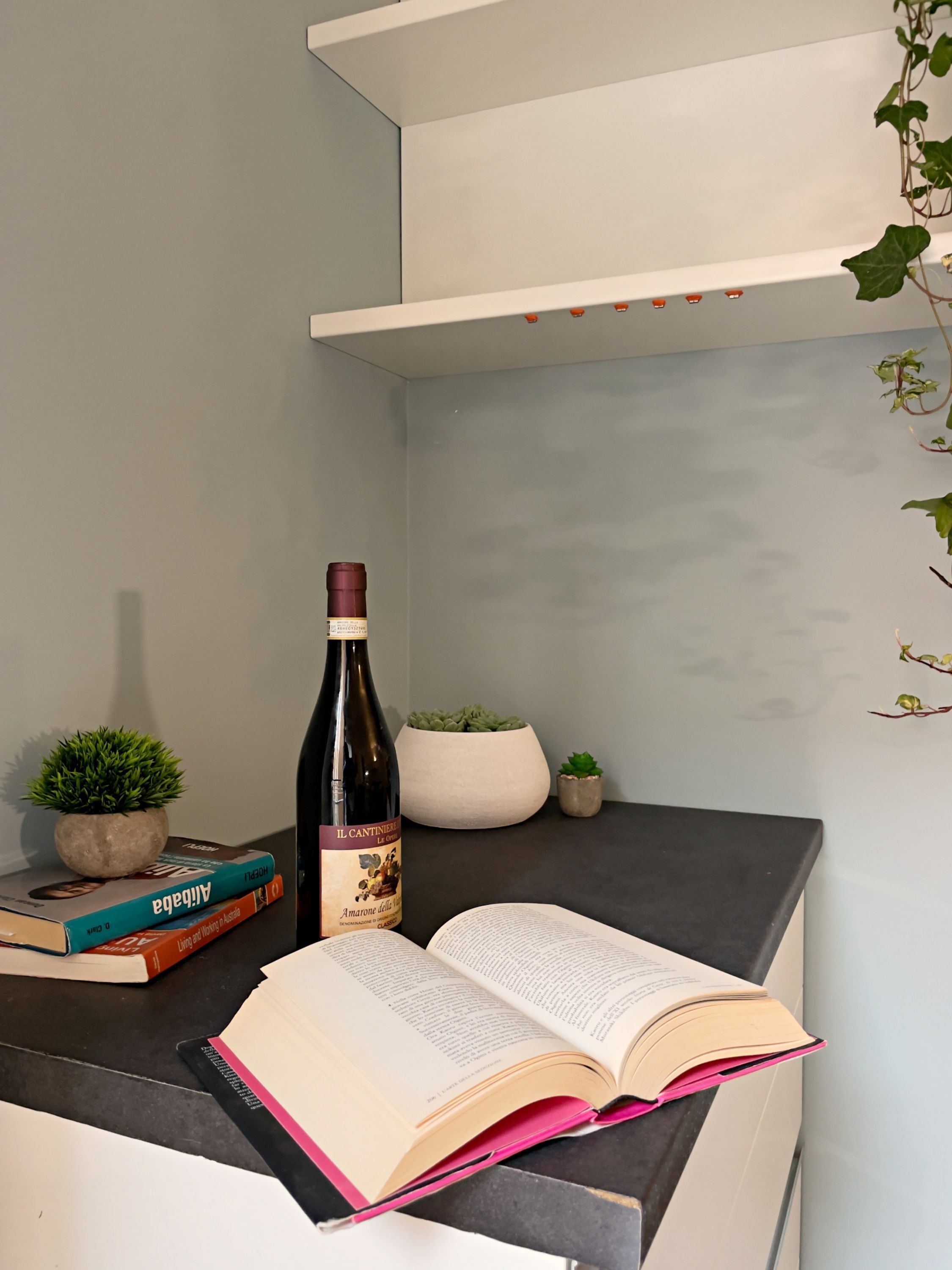 A study area with a book, a wine bottle, and small potted plants on a dark countertop.
