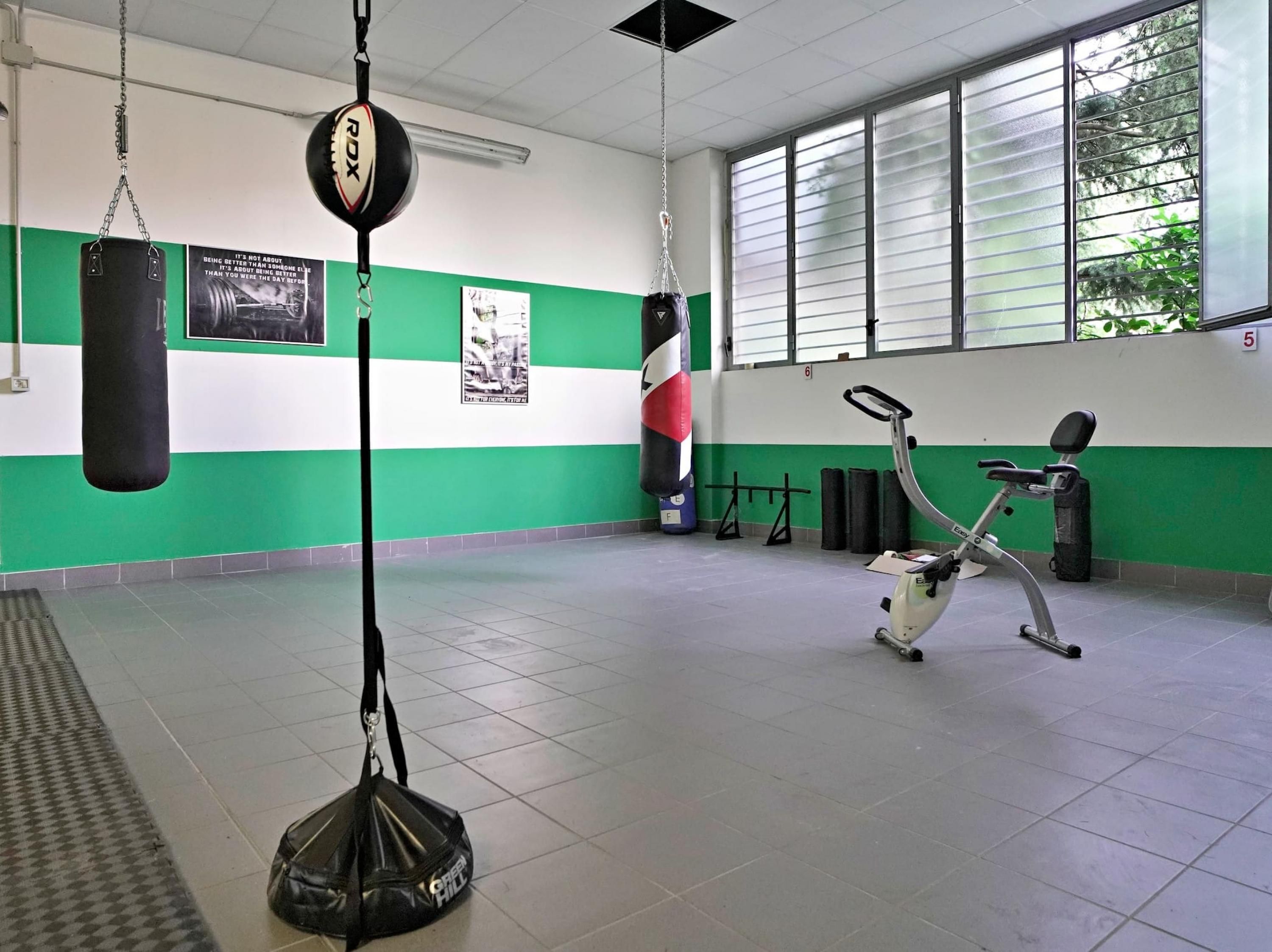 A gym with green and white walls, punching bags, and an exercise bike.