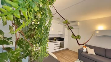 Apartment | 1 bedroom