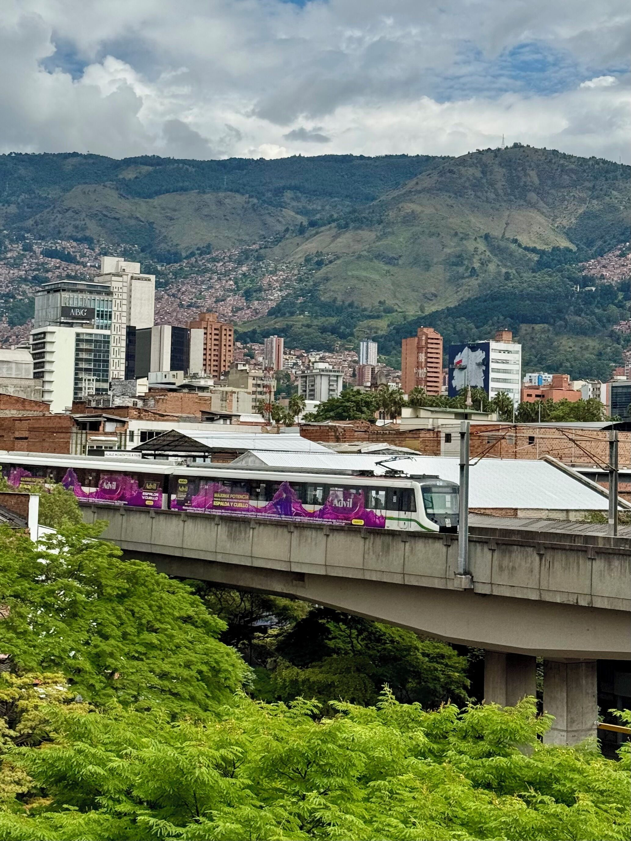 A train on an elevated track with a cityscape and mountains in the background.