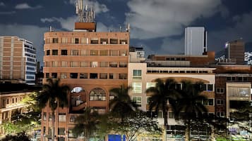 Business Room | View from room