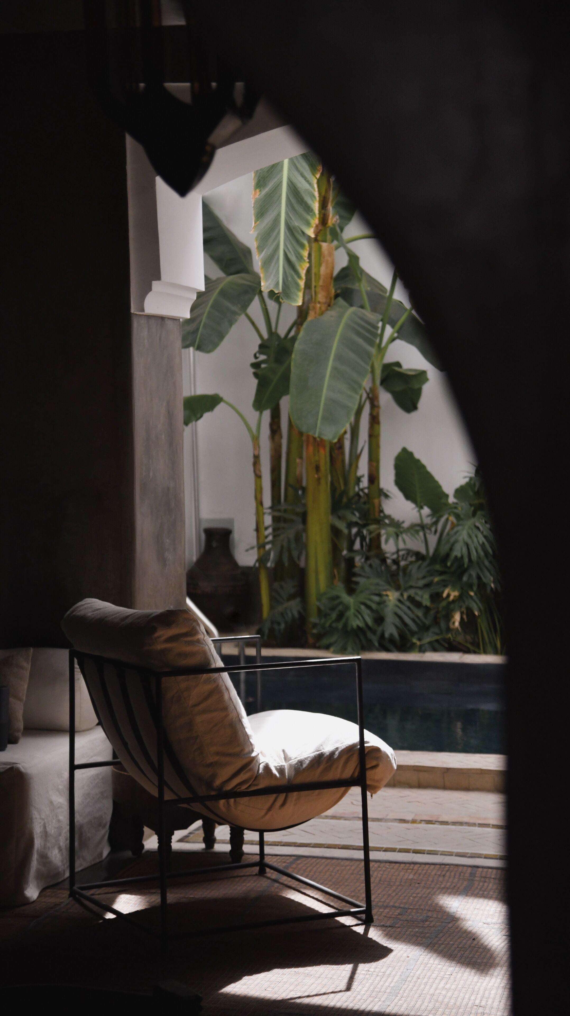 Una silla en una habitación con vistas a una planta grande y una columna.