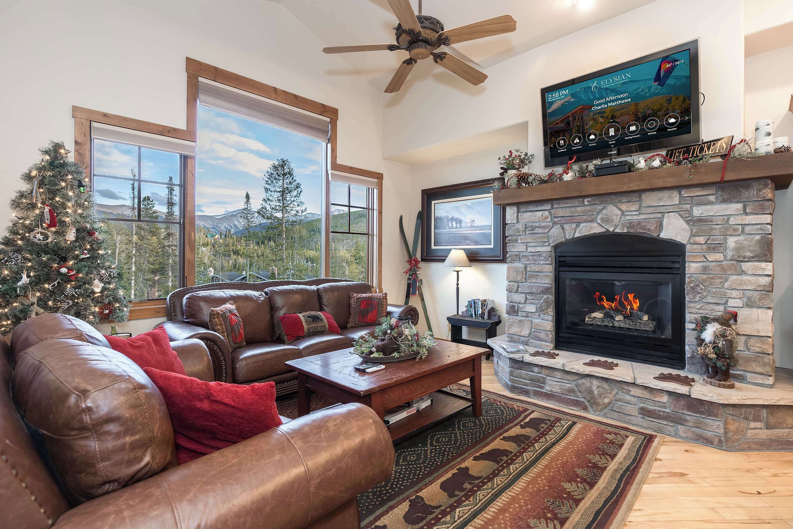 Televisio, takka, DVD-soitin, kirjoja