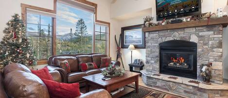 Televisio, takka, DVD-soitin, kirjoja