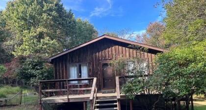 Cottage in the Middle of 134 Forested Acres