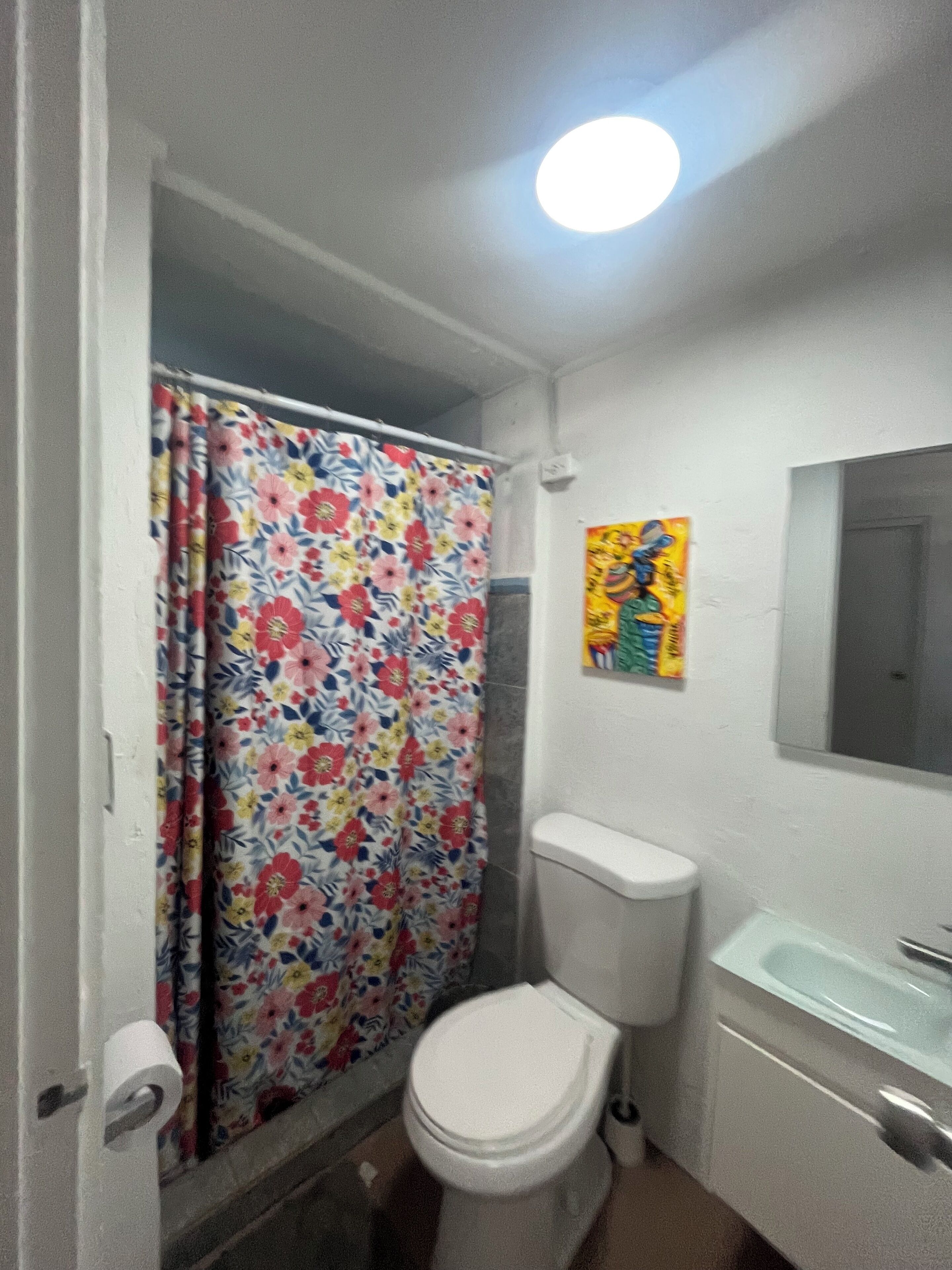 A bathroom with a toilet, a sink, and a shower curtain.
