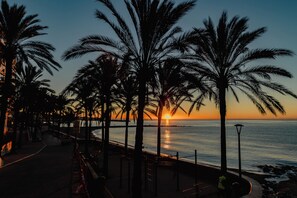 A sunset view along a palm tree-lined promenade by the sea. - Your Dream Vacation (Marbella)