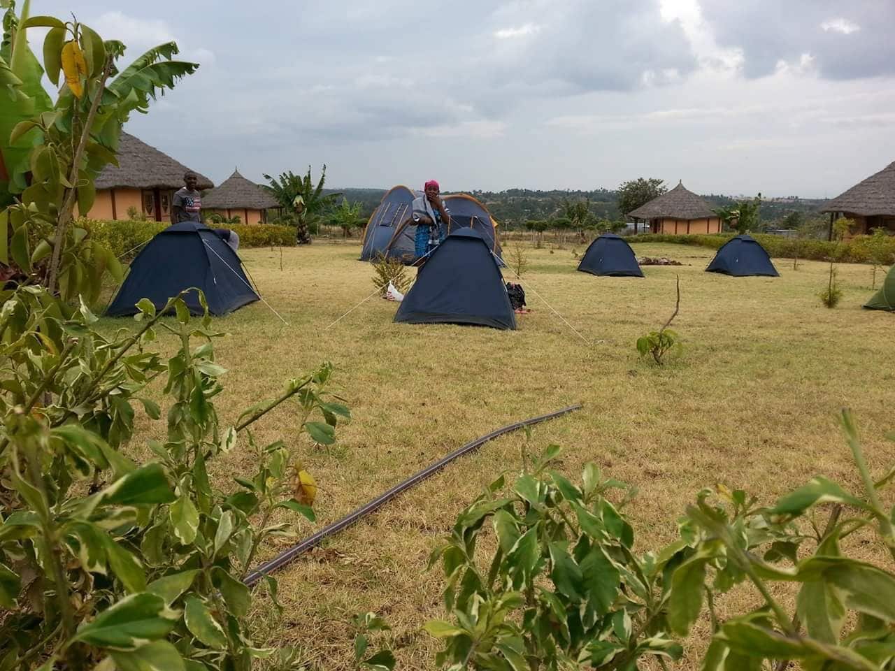 ดีลักซ์เต็นท์, วิวสวน