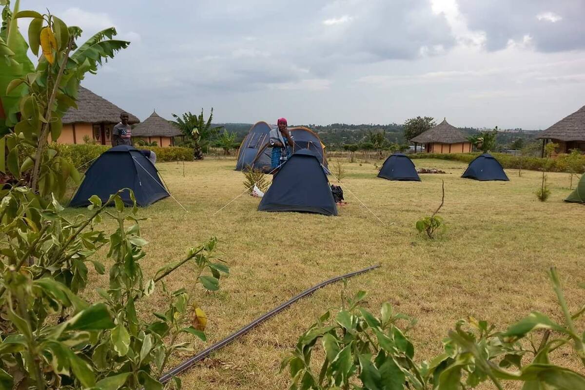 Un campamento con varias tiendas de campaña y chozas de techo de paja en una zona con césped.