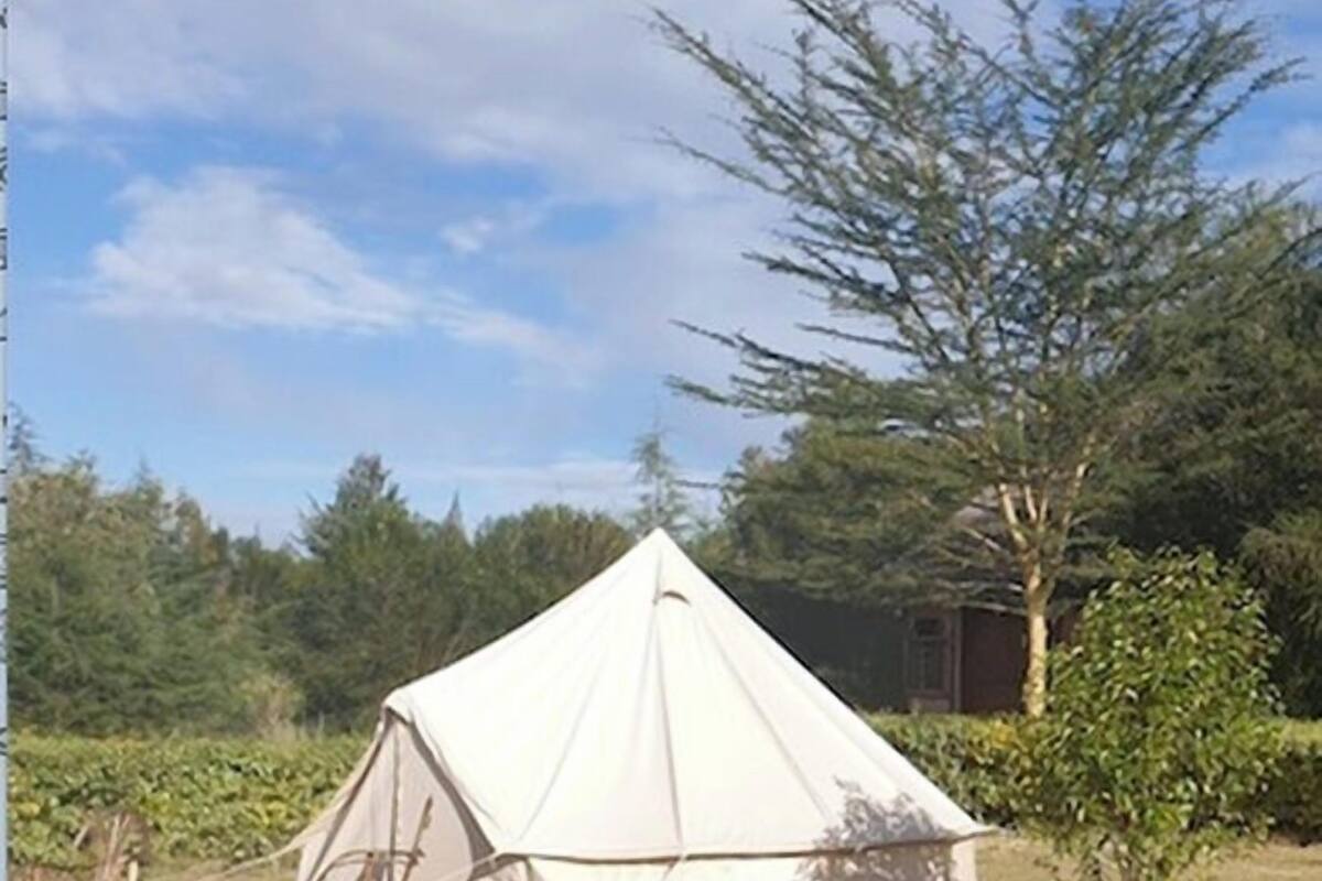 Traditional Tent