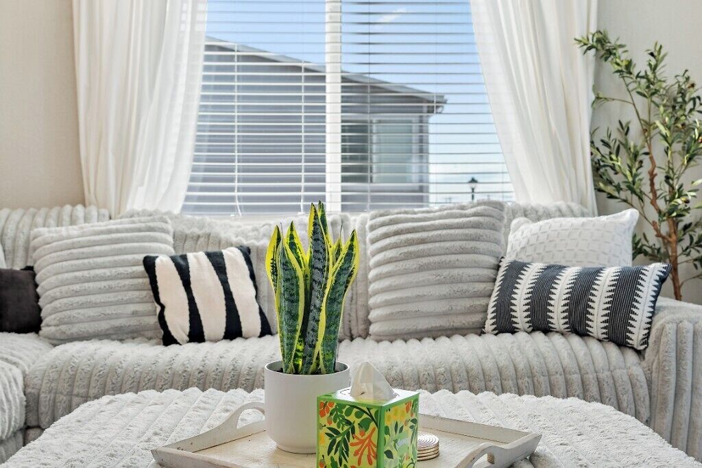 Télévision, livres