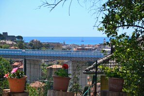 Un paisaje urbano costero con un puente, edificios históricos y plantas en macetas.