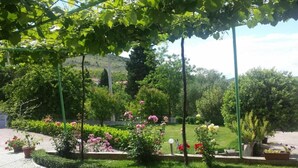 A garden with a paved walkway, various flowering plants, and a grassy area.
