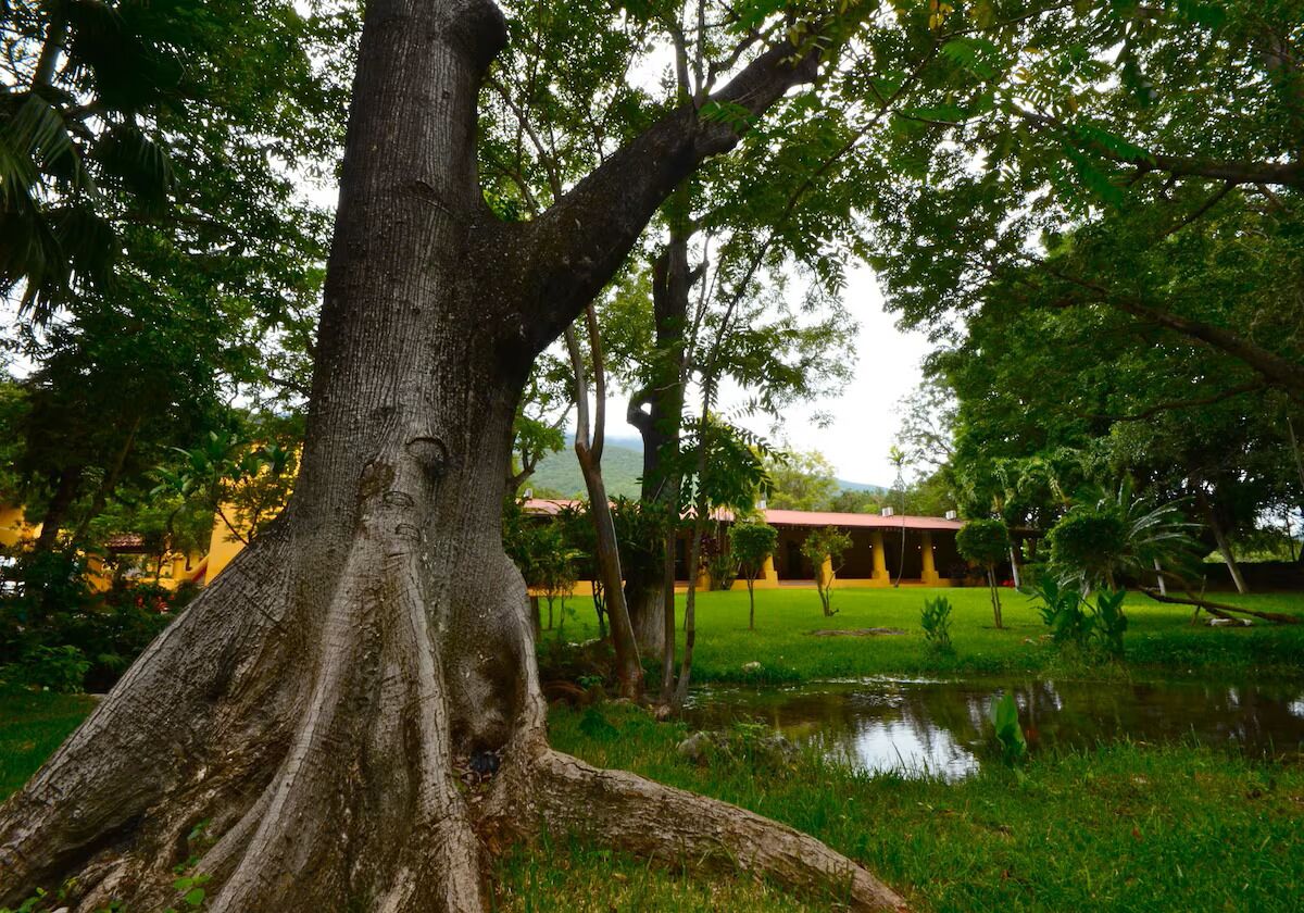 Áreas de la propiedad