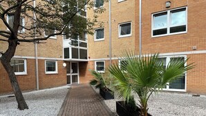 A courtyard with a brick pathway, a palm tree, and a building with multiple windows and a door. - Student Only The Railyard (Liverpool)