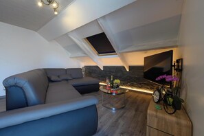 Smart TV, stereo - Gite Le Clocher. Complete apartment overlooking the countryside. (Nassogne)