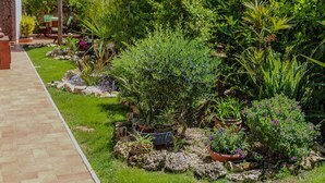 Ein Garten mit verschiedenen Pflanzen und einem gepflasterten Weg.