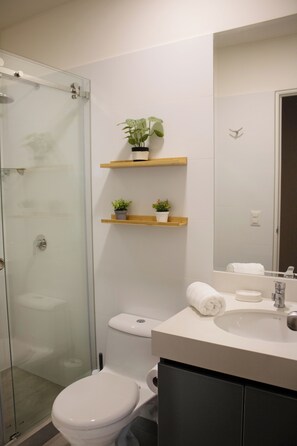 Haartrockner, Handtücher, Seife, Toilettenpapier