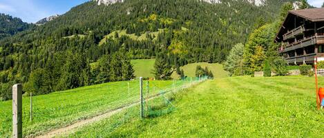 Terrein van de accommodatie