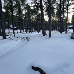 A snowy forest path with tall pine trees and a cabin in the background. - Ruidoso Cabin • FP-Hottub • Sleeps 10-wild horses, elk views! Pets ok (Ruidoso)