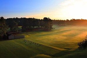 Golf - Pine Needles Lodge & Golf Club (Southern Pines)