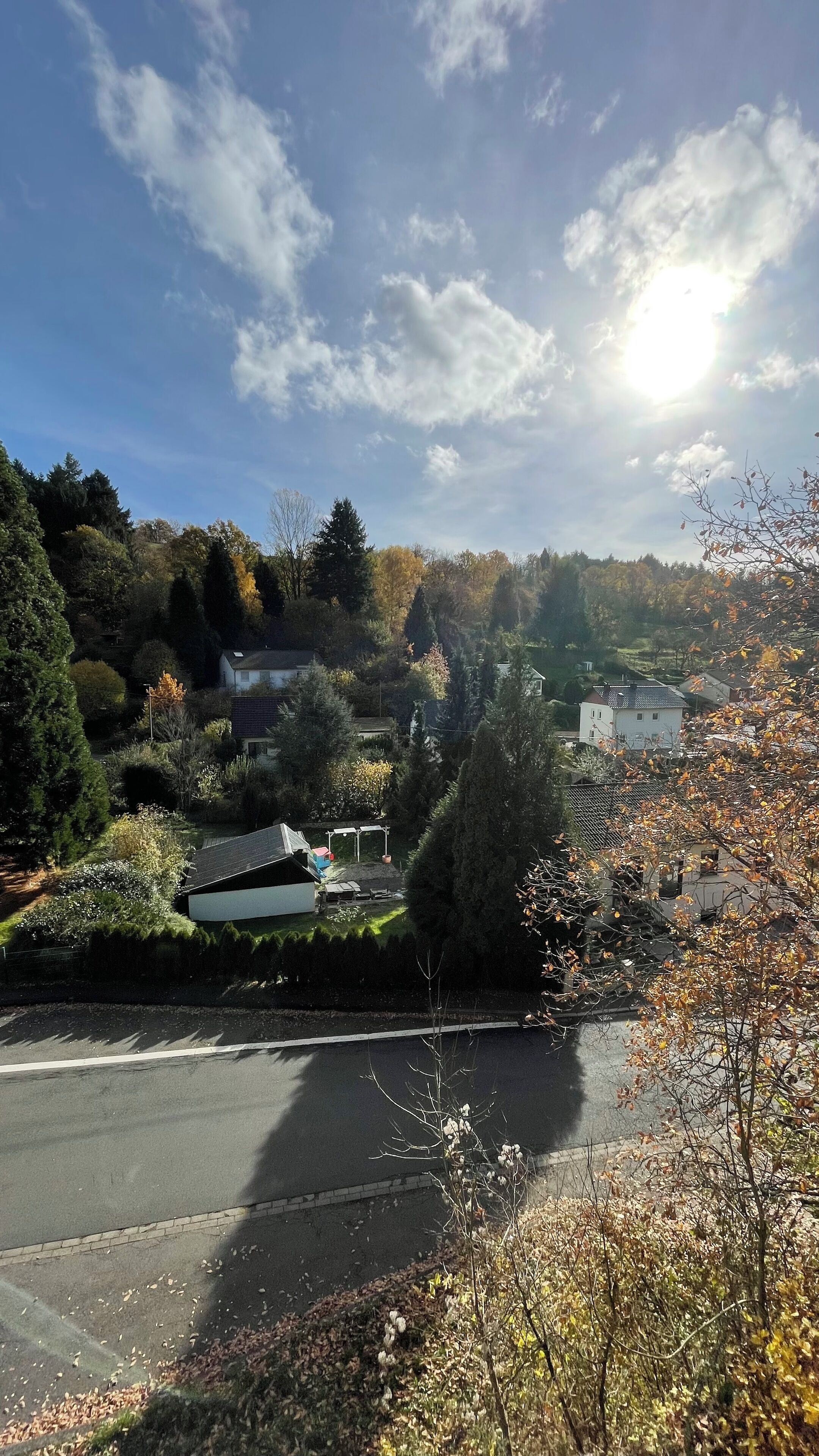 A residential area with houses, trees, and a road.