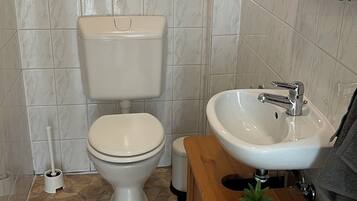 Hair dryer, soap, toilet paper