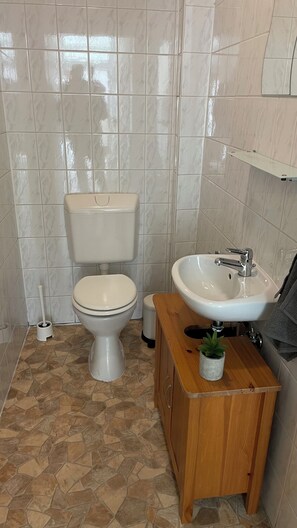 Hair dryer, soap, toilet paper