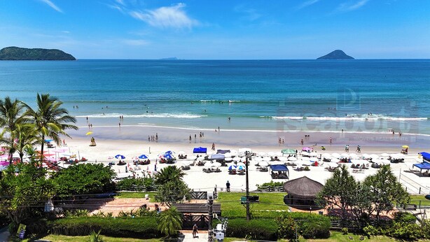 Une plage avec des parasols, des palmiers et une vue sur l’océan.