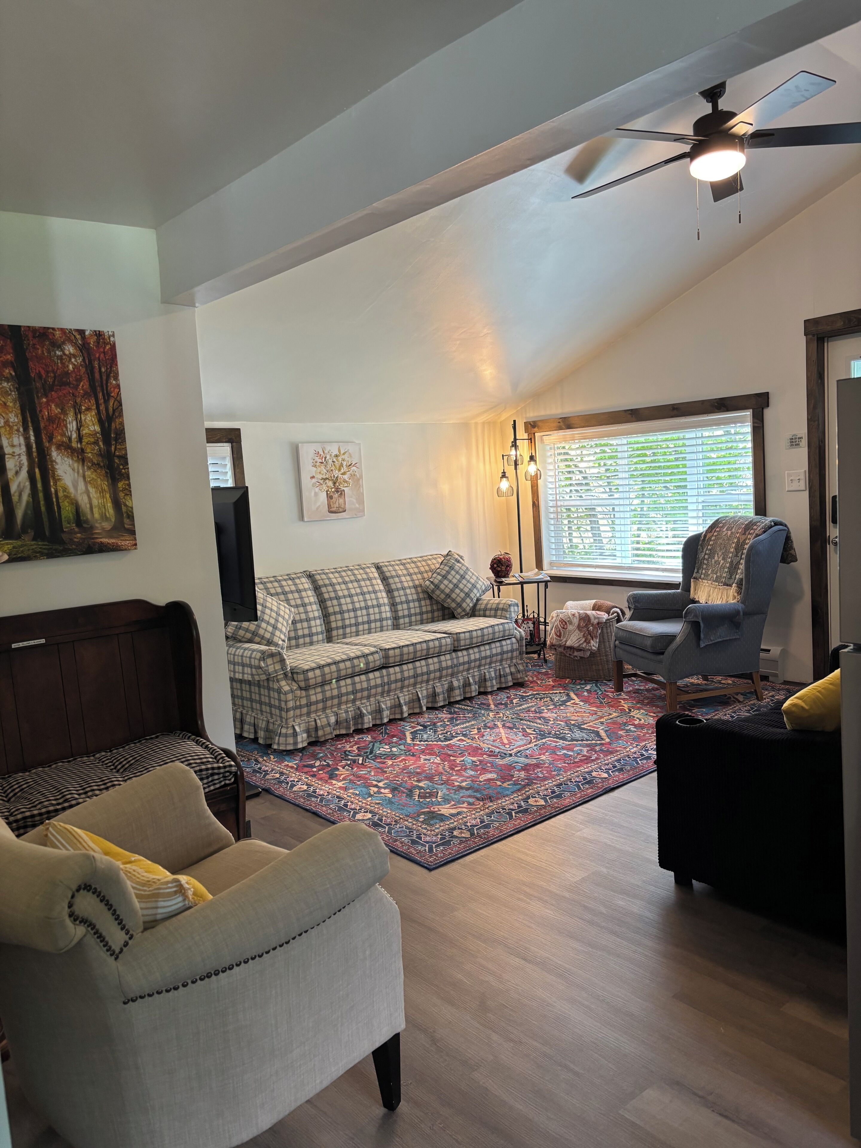 Smart TV, chimenea y libros 